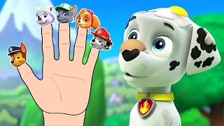 Paw Patrol Finger Family  Paw Patrol Cartoon Song amp Nursery Rhymes [upl. by Nesila]