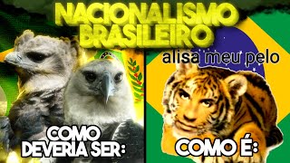 INTANKAVEL O NACIONALISMO BOSTILEIRO [upl. by Dyke]