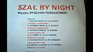 Szał By Night  Chałupy welcome to LP album side A [upl. by Josler]