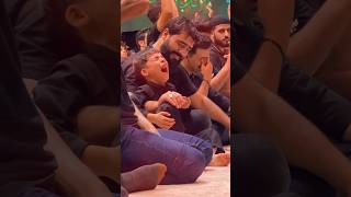 Hy Hussain humaliwalay Karbala arbaeen trending imamhussain hussainiway viral trendingshorts [upl. by Aicilra]