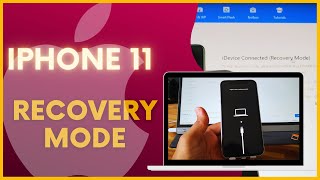 How to go into recovery mode on iPhone 11 [upl. by Kcid90]