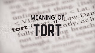 What is the meaning of Tort [upl. by Hnao60]