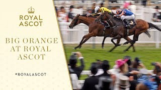 quotAn Absolute Thriller Of A Gold Cupquot  Big Orange Holds On  Royal Ascot 2017 [upl. by Ongun49]