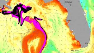 New Animated Oil Forecast Map Spill 250 Miles from Key West by May 24 [upl. by Donela]