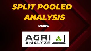 Split Plot Pooled Analysis [upl. by Adlesirk]