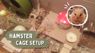 Setting up my Hamsters cage 🍄🍂  Hamster cage setup [upl. by Allimrac169]