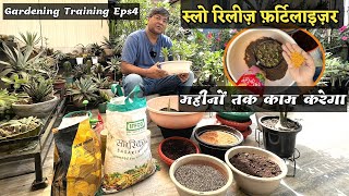 Adenium स्लो रिलीज़ Best Fertiliser  फ़र्टिलाइज़र महीनों तक काम करेगा  Gardening Training Eps 5 [upl. by Ahcarb614]