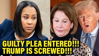 SHOCKING Guilty Plea Entered by Trump CoDefendant STUNS Everyone [upl. by Maffei189]