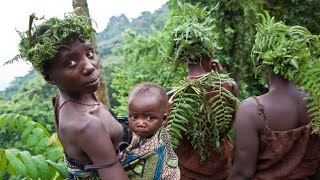 Full documentary of the Hadzabe forest women daily routineAfrican village life [upl. by Enitsugua]