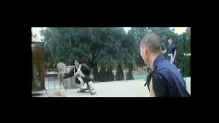 Shaolin Vs Tai Chi [upl. by Marlen]