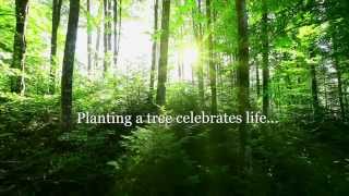 Care Providers plant trees to celebrate life [upl. by Nicholl525]