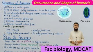 Occurrence of bacteria  Size of bacteria  class 11  Lec  02 visiblescience22 [upl. by Nadiya]