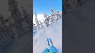 FRESH TRACKS on a Bluebird day skiing powdersnow ski powder [upl. by Baumann]