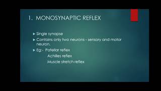 Reflexes  Monosynaptic and Multisynaptic Reflexes [upl. by Gnanmos500]