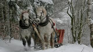 Stefan Hrusca  Colaj colinde  Christmas Music  Cantece de craciun [upl. by Yve172]