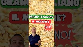 Grano italiano NON è il migliore pizza grano farina [upl. by Eerised390]