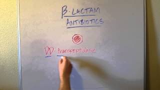 How BLactam Penicillin Antibiotics Work [upl. by Summers467]