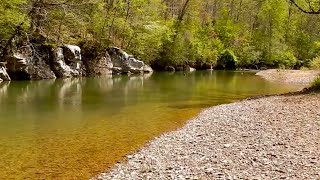 Tennessee CREEK Fishing for GIANT Smallmouth Bass [upl. by Orme883]