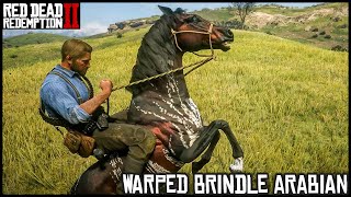 HOW TO GET THE WARPED BRINDLE ARABIAN HORSE Red Dead Redemption 2 [upl. by Maddy]