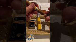 Cohiba Siglo II with Hennessy Paradis [upl. by Eulalia776]