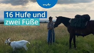 Wanderreiten Im Sattel der Natur ganz nah  MDR um 2  MDR [upl. by Rybma]