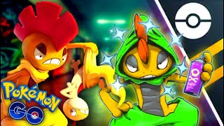 WHY YOU NEED TO HUNT SHINY SCRAGGY SCRAFTY IS AMAZING IN GO BATTLE LEAGUE FOR Pokemon GO [upl. by Aeuhsoj]