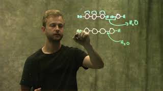 Monomers and Polymers [upl. by Ares]