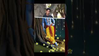 Hare Rama hare Rama hare Krishna trendingyoutubeshorts shortvideo ytshorts viralvideo harerama [upl. by Glaser]