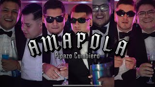 AMAPOLA  Pipazo Cumbiero Oficial VIDEO OFICIAL [upl. by Eseyt388]