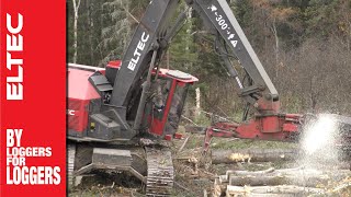 Eltec Feller Buncher 317 [upl. by Lemire]