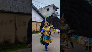 Kawadi Papare Perahara kawadi fyp dance papare srilanka peacock [upl. by Nnagrom]