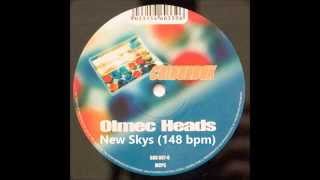 Olmec Heads ‎– New Skys 148 bpm [upl. by Doralynne882]