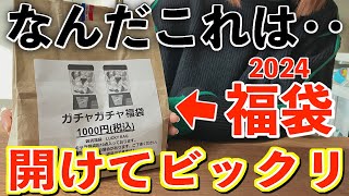 【福袋2024】なんだこれ‥秋葉原で見つけた『ガチャガチャ福袋』の中身が予想外でした。【ガチャ｜福袋｜アニメ福袋】 [upl. by Esened]