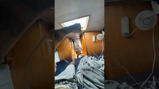 Inside sailboat during ROUGH seas oahuhawaii sailboat kaiwichannel roughseas [upl. by Fowkes]