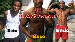 CALISTENIA BIOTIPO CORPORAL como descobrir o seu ectomorfo endomorfo ou mesomorfo [upl. by Dnalloh]