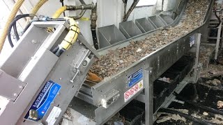 Cocci Luciano Srl  Manual picking and grading line for fish and shellfish [upl. by Lakym]