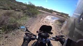 Tiger 800XC Suspension Test with Andreani Misano Cartridges [upl. by Noyerb]