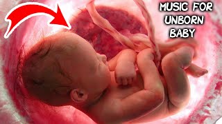 Music for unborn baby  Brain development  Relax [upl. by Chafee]