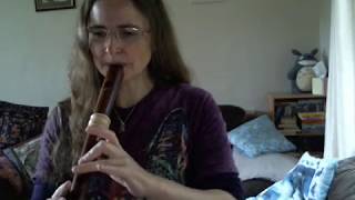 Recorder composition quotPlumwoodquot on a Mollenhauer Dream Edition Treble Alto Recorder [upl. by Moishe383]