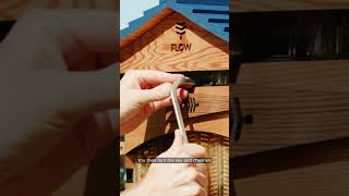 Flow Hive how it works beekeeping flowhive animalhusbandry bees [upl. by Peper303]