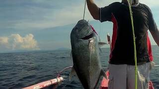 Shimano torium 16hg vs Giant trevally on fortune island [upl. by Tuorah]