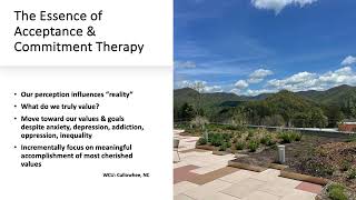 The Essence of Acceptance amp Commitment Therapy [upl. by Inotna]