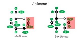 ENZIMOLOGIA AMILASE SALIVAR  PRÁTICA EM CASA [upl. by Fujio]