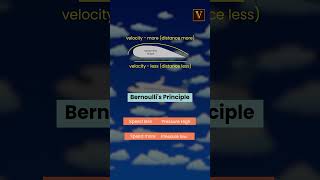 Bernoullis Principle  How Do Aeroplane Fly bernouli shorts [upl. by Hsekar]