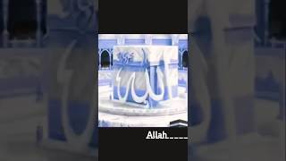 Allahshortsvideosyoutubeshortsviralvideosshortsviralvideos [upl. by Ware383]