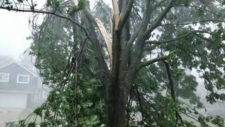 Derecho Storm 100 mph wind in Marion Iowa  Aug 10 2020 [upl. by Haletta]