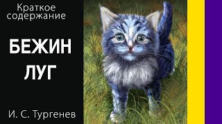 Краткое содержание Бежин луг Тургенев И С Пересказ рассказа за 4 минуты [upl. by Loseff]