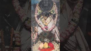 Narasimha kavaja [upl. by Dylane]