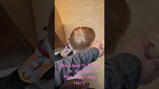 Toddlers Leearn To Walk Dog ● Shih Tzu Training smalldogtraining familydogtraining dogtraining [upl. by Noit]