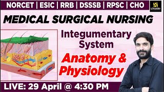 MSN Integumentary System Anatomy amp Physiology  For NORCET  RRB  DSSSB  RPSC  CHO By Raju Sir [upl. by Norred]